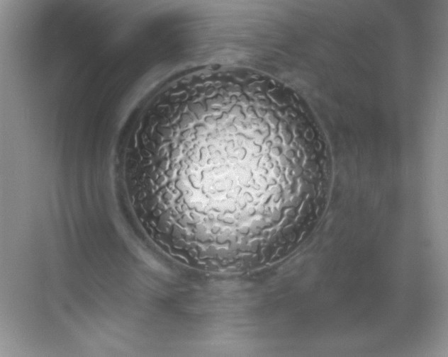 X0000068840242200605191933