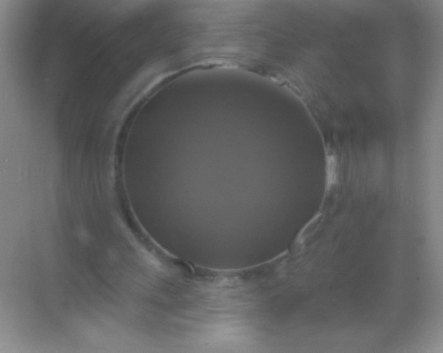 X0000068840243200605191933