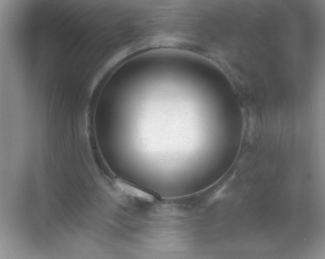 X0000068840244200605191933