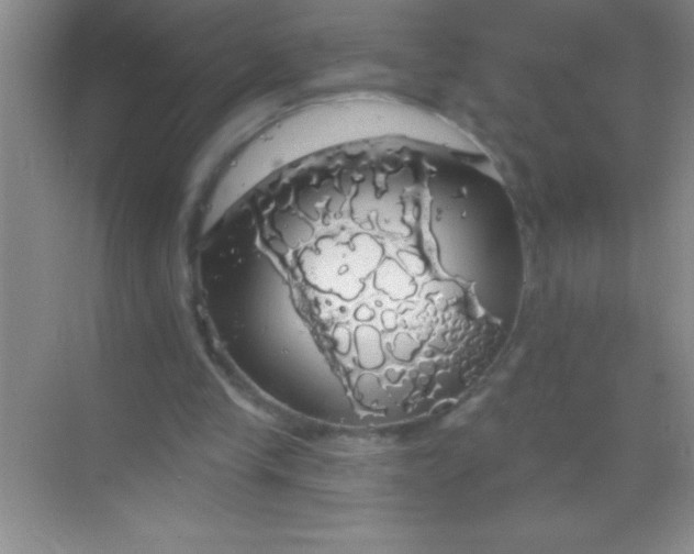 X0000068840245200605191933