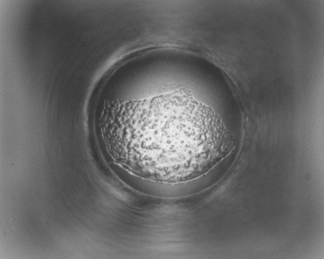 X0000068840246200605191933