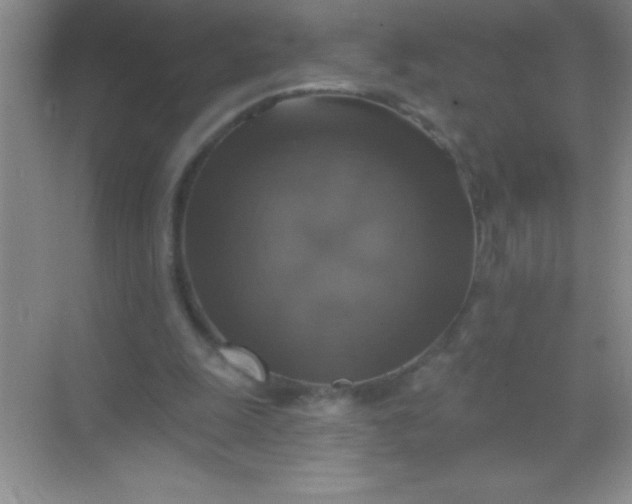 X0000068840247200605191933