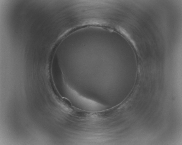 X0000068840249200605191933