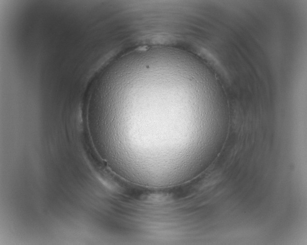 X0000068840251200605191933