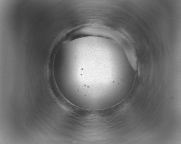 X0000068840252200605191933