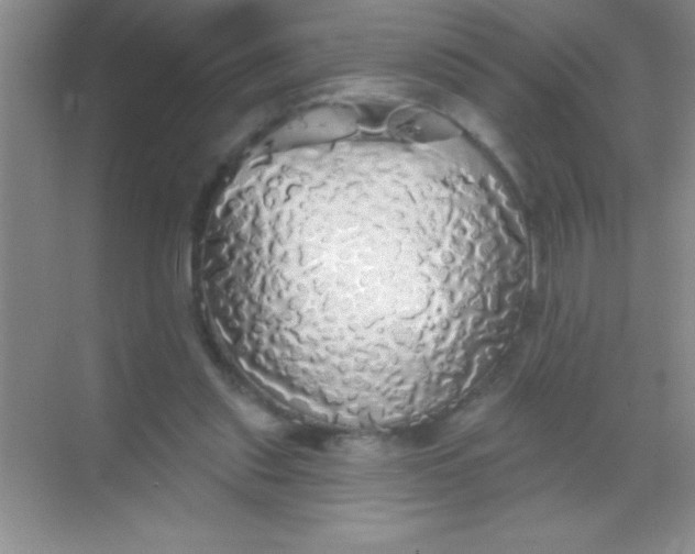 X0000068840253200605191933