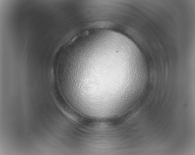 X0000068840254200605191933