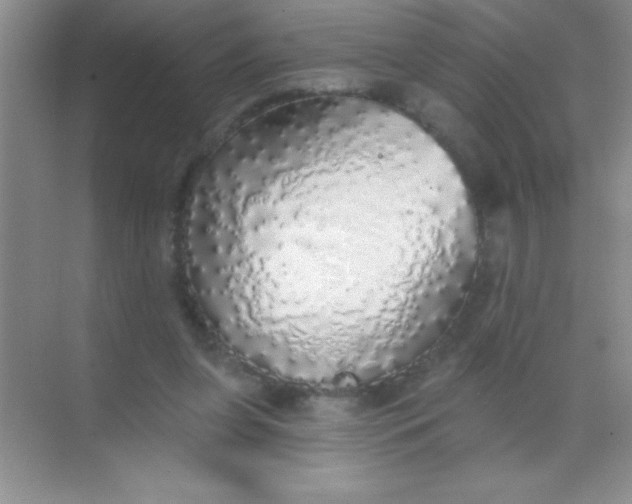 X0000068840255200605191933