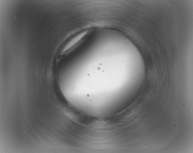 X0000068840256200605191933