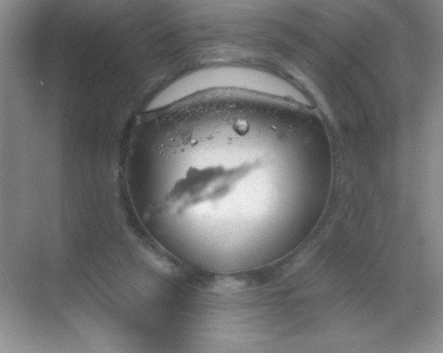 X0000068840257200605191933