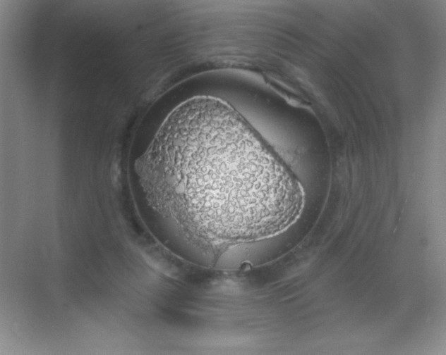 X0000068840259200605191933