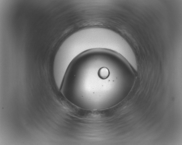 X0000068840260200605191933