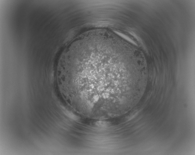 X0000068840261200605191933