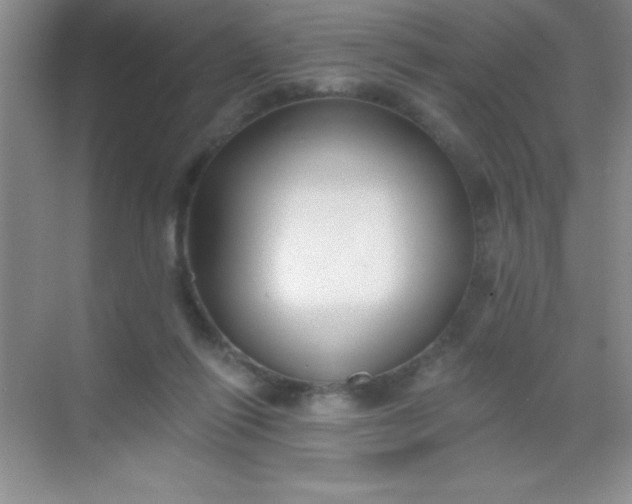 X0000068840262200605191933