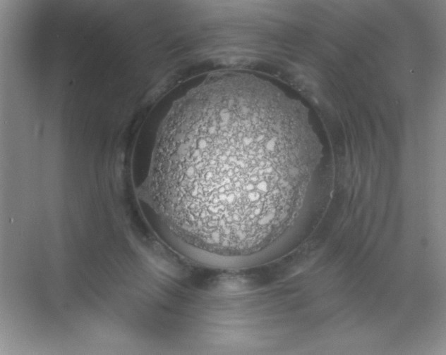 X0000068840263200605191933