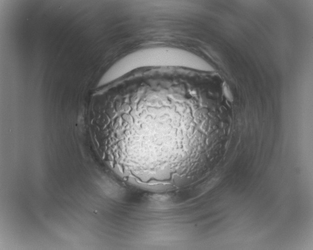 X0000068840265200605191933