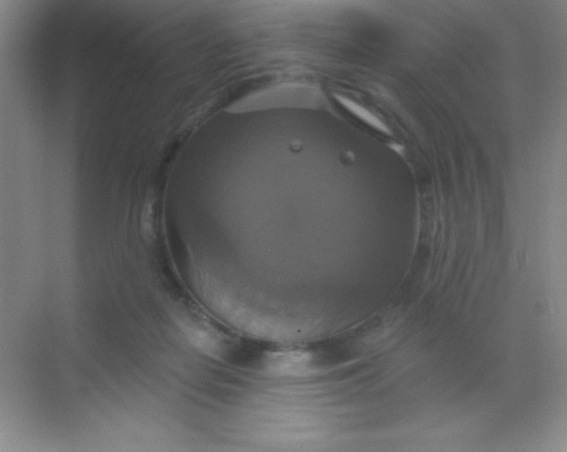 X0000068840266200605191933