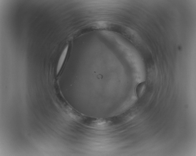 X0000068840267200605191933