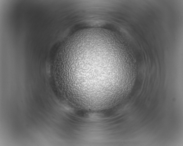 X0000068840268200605191933