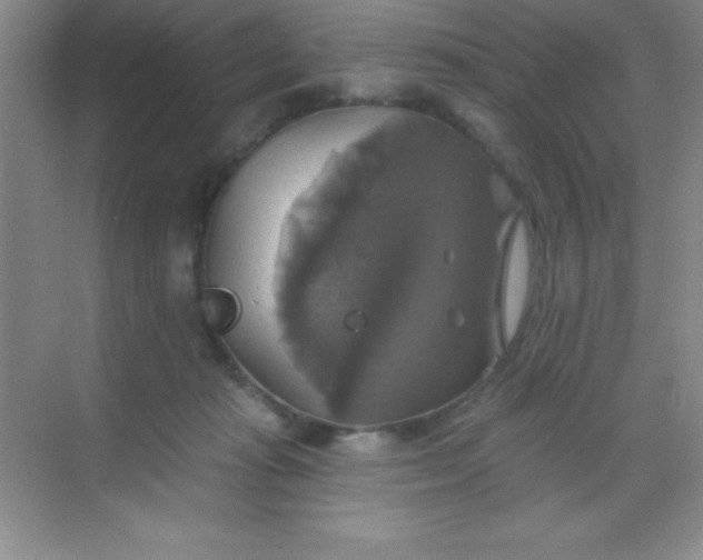 X0000068840269200605191933