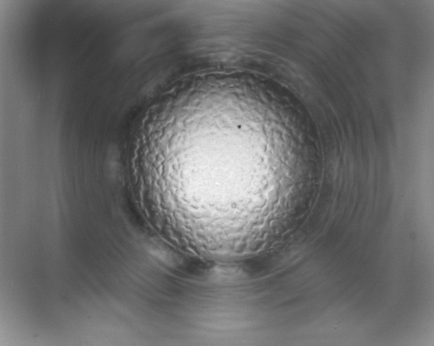 X0000068840270200605191933