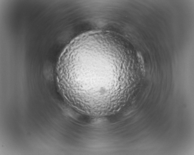 X0000068840274200605191933