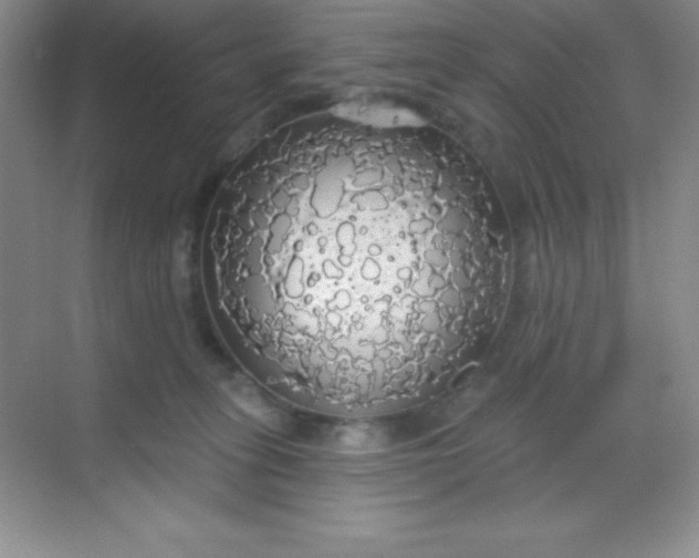 X0000068840275200605191933