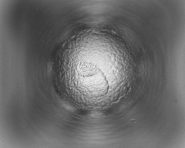 X0000068840278200605191933