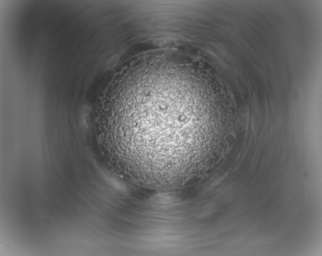 X0000068840280200605191933