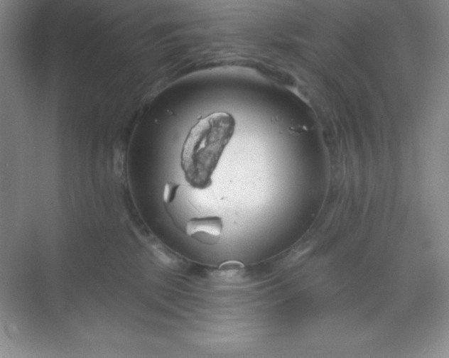 X0000068840281200605191933