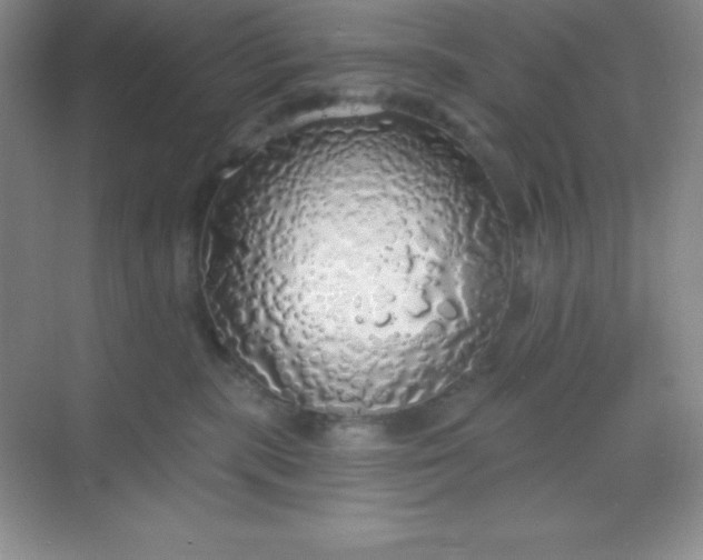 X0000068840283200605191933