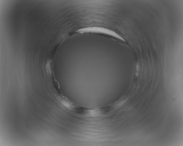 X0000068840286200605191933