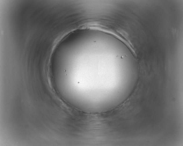 X0000068840289200605191933