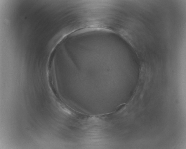 X0000068840290200605191933