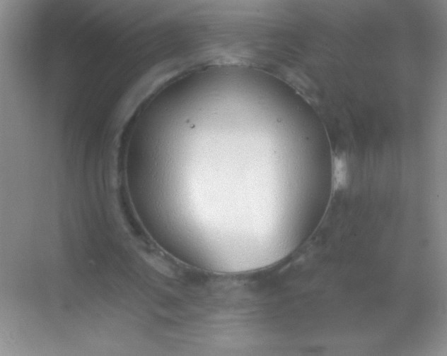 X0000068840291200605191933