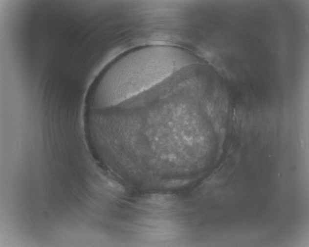 X0000068840292200605191933