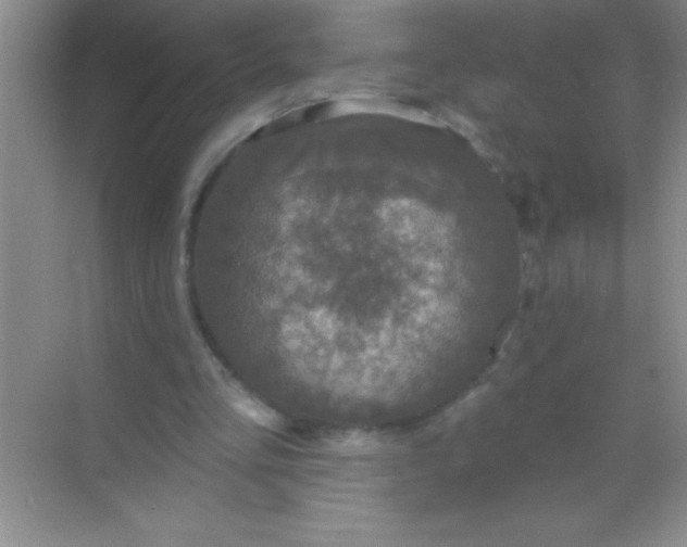 X0000068840293200605191932