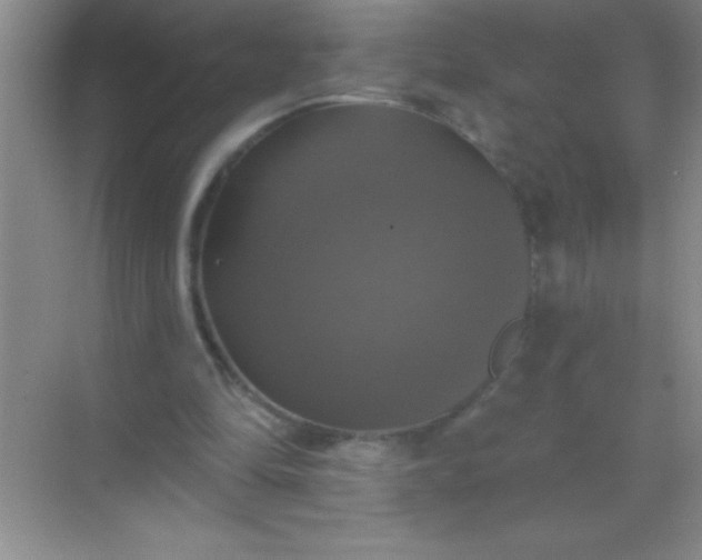 X0000068840294200605191932