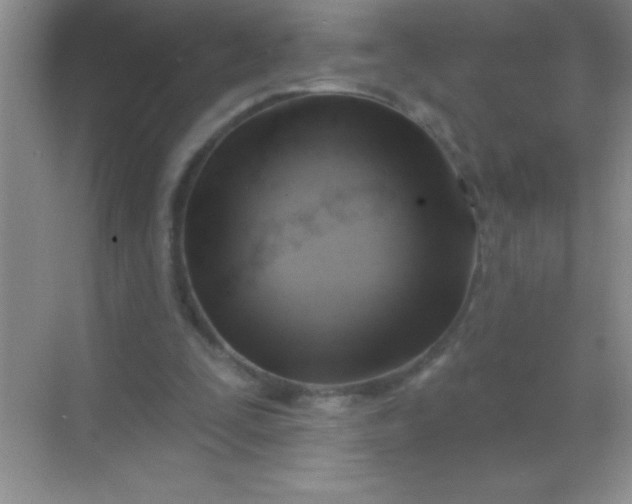 X0000068840295200605191932