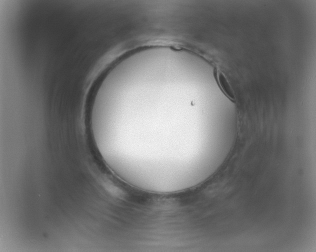 X0000068840296200605191932