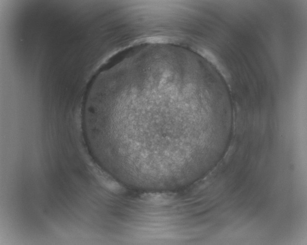 X0000068840297200605191932