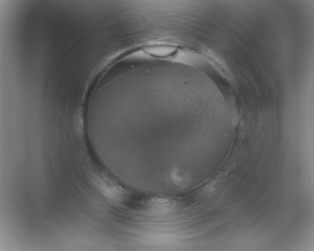 X0000068840298200605191932