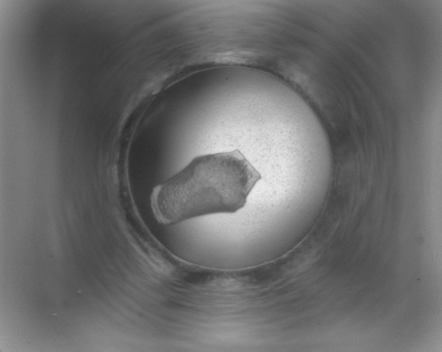 X0000068840299200605191932