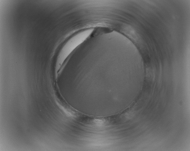 X0000068840302200605191932