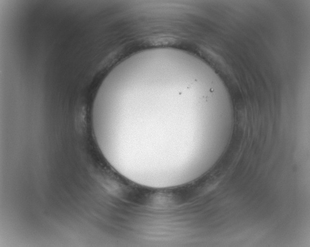 X0000068840308200605191932