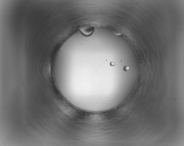 X0000068840310200605191932