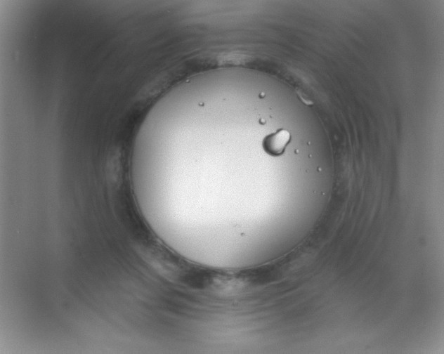 X0000068840311200605191932