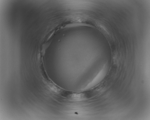 X0000068840314200605191932