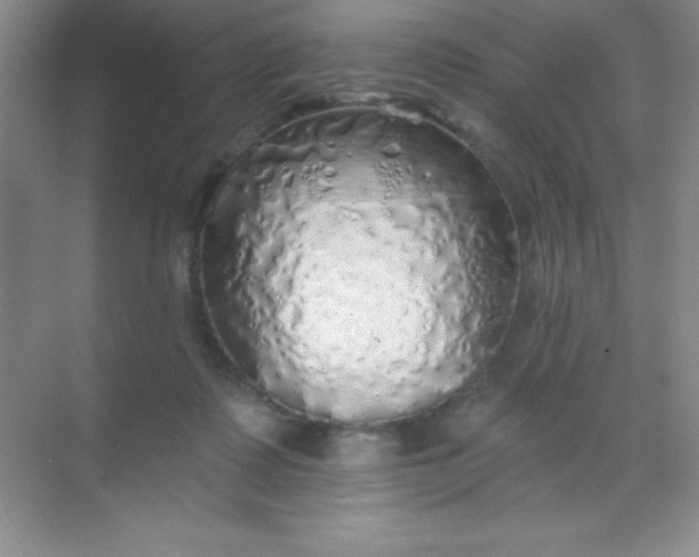 X0000068840315200605191932