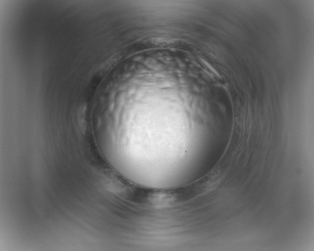 X0000068840319200605191932